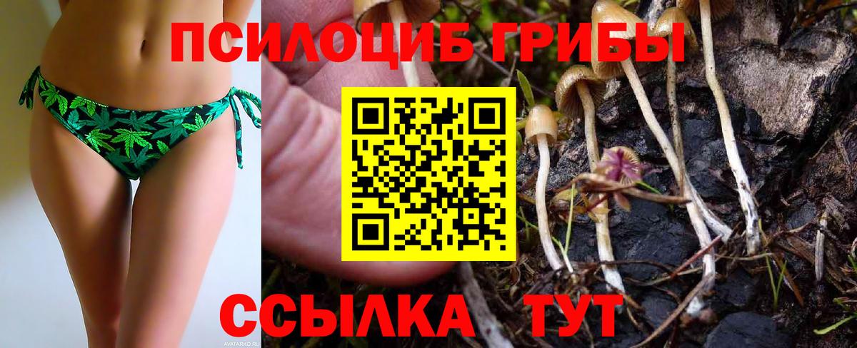 Псилоцибиновые грибы мухоморы  Псилоцибиновые грибы GOLDEN TEACHER  Вход с VPN  Ишимбай 