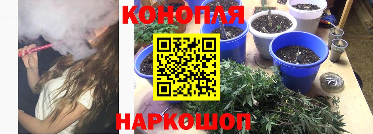 Ишимбай  Бошки марихуана сатива  Вход с VPN  МАРИХУАНА план 